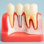 WhatsApp-Image-2026-01-23-at-5.41.16-PM