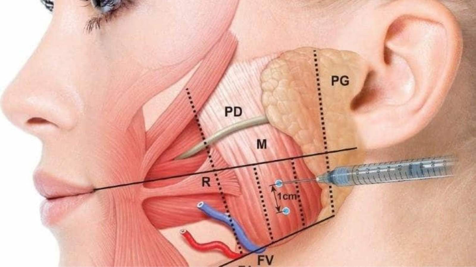 Untitled design (14)