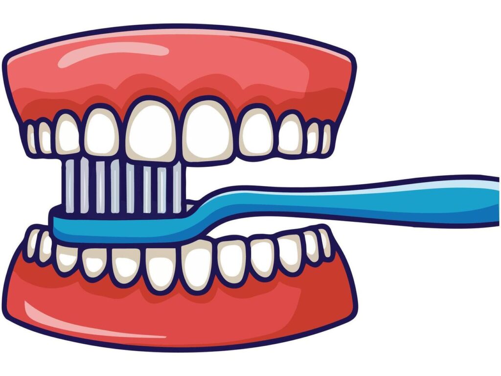 Gums Bleed When Brushing