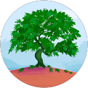 Jefri Quispe profile picture