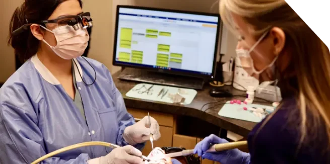 image-2-radzska883h4xgdyjuu7hdp3r9s5psve3xjlxf43ng